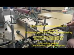 পিইউআর হট মেল্ট আঠালো কাঠের কাজ আঠা উচ্চ গুণমান সেরা দাম